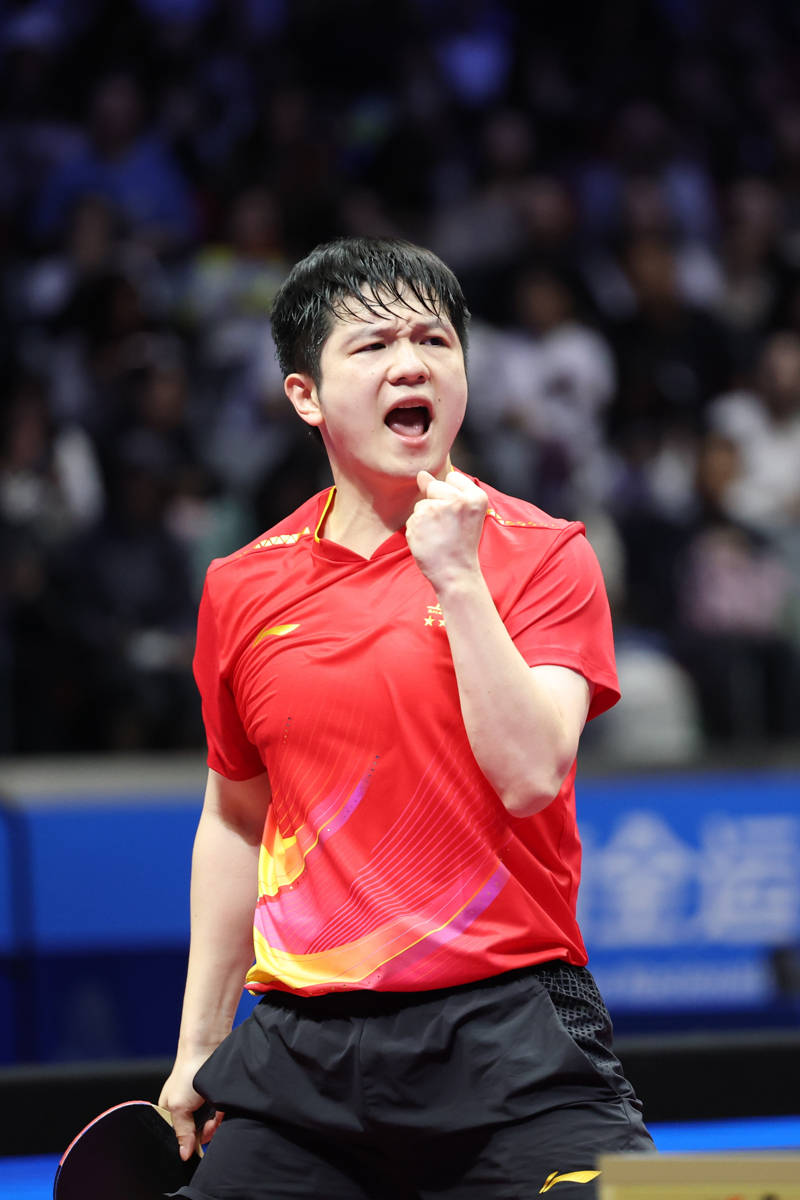 德国队轻取波兰队,樊振东点燃赛场 德国队轻取波兰队,樊振东点燃赛场