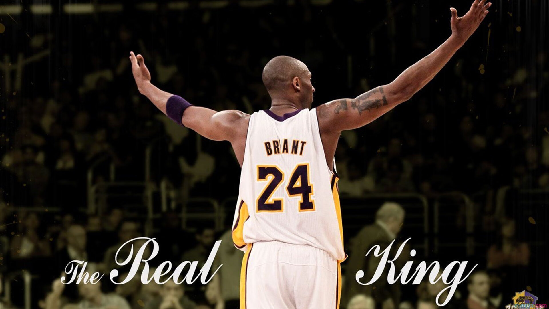 悬崖之上的烈焰反击，爱德华兹48分救主，湖人火力压制辽宁队